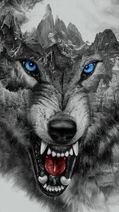 an image of a wolf with blue eyes