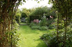 a lush green garden with lots of flowers