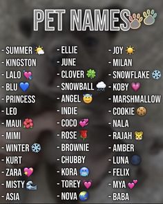 a poster with the names of pet names