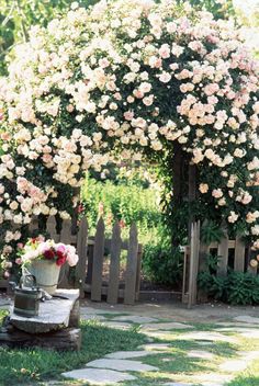 a garden with lots of flowers on it