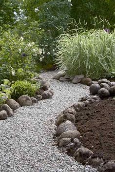 an image of a garden with rocks and plants in it on the screen, there is a