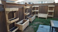 several wooden planters are lined up in the back yard, with grass growing between them