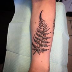 a fern leaf tattoo on the arm