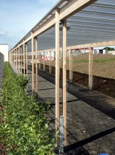 a row of green plants next to a building with metal awnings on it