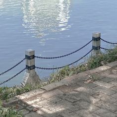 a bird sitting on the edge of a body of water next to a chain link fence