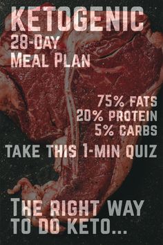 28-Day Personalized Ketogenic Diet Meal Plan with Full Recipes. Use this macro calculator to get a flexible meal plan based on your answers. Macro Calculator, Full Recipes, Ketogenic Diet Meal Plan, Recetas Keto, Diet Meal, Diet Meal Plans, Keto Meal Plan