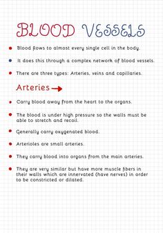 the blood vessel and its functions are labeled in red, white, and blue text