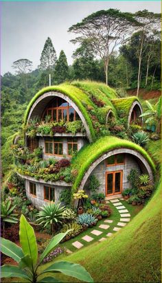 an unusual house with green roof and plants growing on the walls, in the middle of a