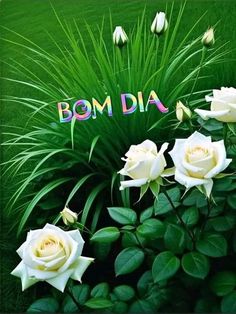 some white roses and green grass with the word bomb dia