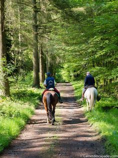 two people riding horses down a trail in the woods