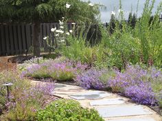 a garden with purple and white flowers next to a fence