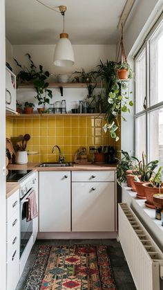 a kitchen filled with lots of plants next to a window