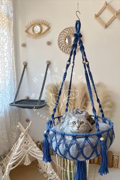 a cat is sitting in a blue hammock hanging from the ceiling and looking at the camera