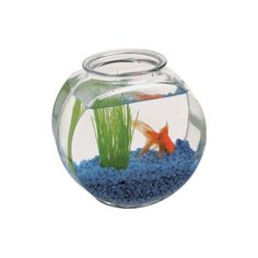 an aquarium filled with blue gravel and goldfish swimming in it's water bowl