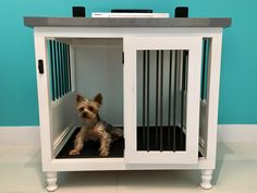 a small dog is sitting in his kennel