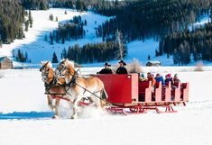 two horses pulling a sleigh with people in it