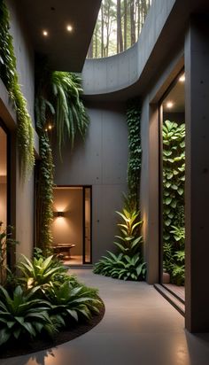 the inside of a building with plants growing on it