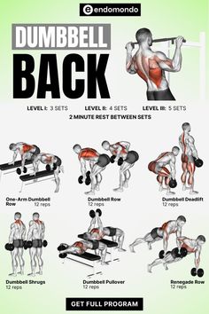 the dumbbell back workout is shown in this graphic style, with instructions to perform it