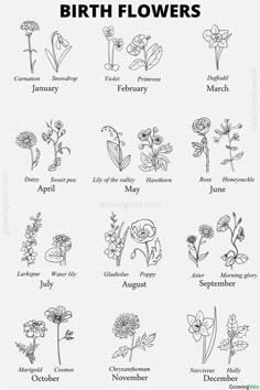 birth flowers Birth Flowers By Month, Flowers By Month, Locket Picture, Necklace Photo, Birth Flower Tattoos, Picture Locket, Feminine Tattoo, Round Locket, Dainty Tattoos