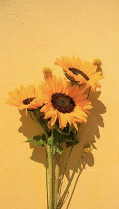 a vase filled with sunflowers against a yellow wall