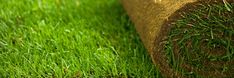 a roll of hay sitting in the grass