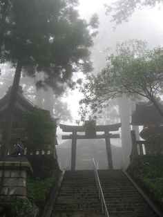 stairs lead up to an entrance in the fog