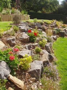 a garden filled with lots of rocks and flowers next to a lush green field on a sunny day