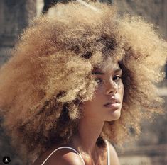 Beauties In Dope Afros Cali Hairstyles, 9 Ether, Ebonee Davis, Teyonah Parris, Natural Hair Journey Growth, Blonde Afro, Tina Kunakey, Big Afro, Natural Afro