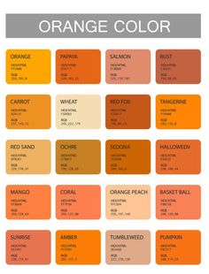 an orange color chart with the names and colors for each type of paint scheme royalty illustration