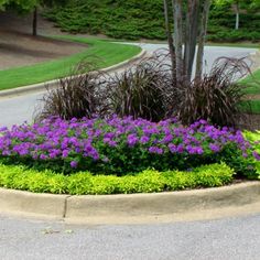 a flower bed with purple flowers in the middle