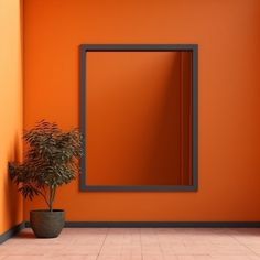 an orange room with a potted plant and mirror