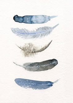 watercolor painting of feathers on white paper