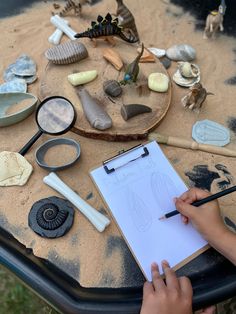 a person is drawing on a piece of paper surrounded by shells and other items from the ocean