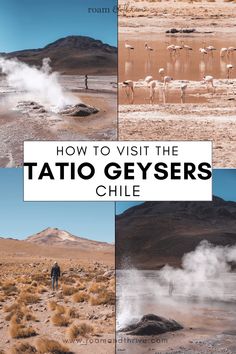 how to visit the tattoo geysers chile