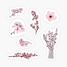 pink flowers stickers on white background