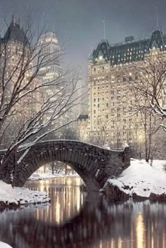 a bridge over a body of water in the middle of a snow covered city at night