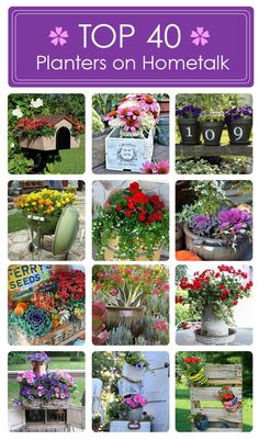 the top 40 planters on home talk