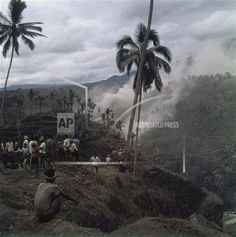 a group of people standing on top of a lush green hillside next to palm trees