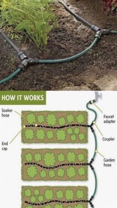 an image of how it works in the garden with water hoses and plants growing out of