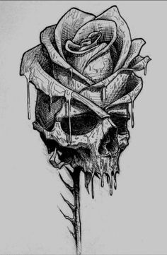 a drawing of a skull with a rose on it