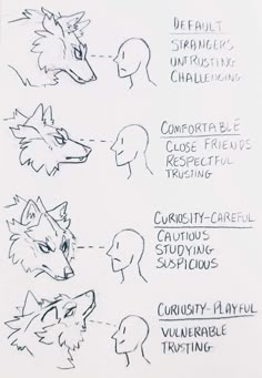 sketches of different types of animals and their names