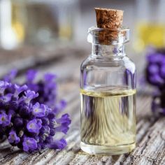 Lavender Oil Benefits, Oils Essential, Aroma Therapy, Lavender Aesthetic, Healthy Eyes, Rose Essential Oil, Anti Aging Ingredients, Best Essential Oils, Carrier Oils