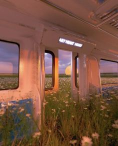 the inside of a passenger train with flowers and grass in front of it at dusk