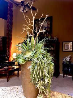 a large potted plant sitting on top of a table