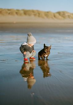 a little boy and his dog playing in the water at the beach on a sunny day