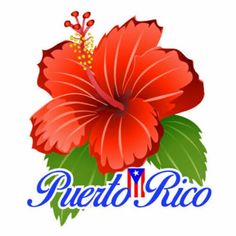 a red flower with the words puerto rico on it