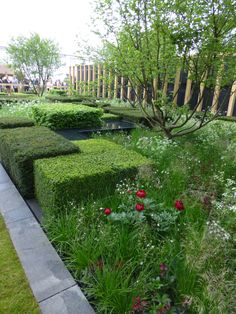 a garden with hedges and flowers in it