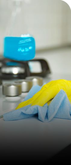 a yellow bird sitting on top of a kitchen counter next to a blue dish towel