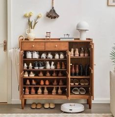 a wooden cabinet filled with lots of shoes next to a potted plant on top of a hard wood floor