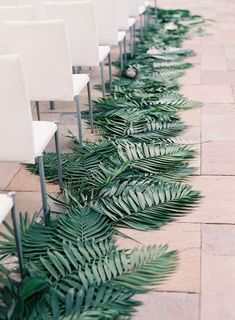 rows of white chairs lined up with green leaves